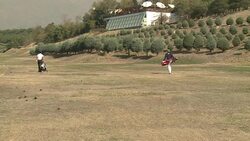 VOICED : Fore! In Iran golf remains a game of the elite News Clip