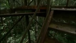 Wooded stairs lead to a high, metal platform in the Brazilian rainforest. Stock Footage