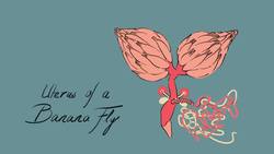 TED-ED: The evolution of animal genitalia - Menno Schilthuizen Instructional Video