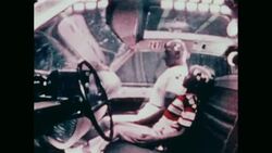 News Item (1812176a-f175-a7eb-999a-19e5094366f7) News Clip