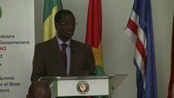 CLEAN: Mali transition to last a year: regional le News Clip