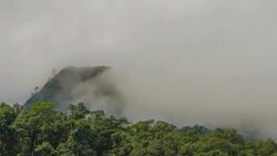 TL : much fog around top of mountain in Thailand Stock Footage
