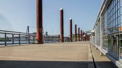Portland Waterfront Walkers Stock Footage