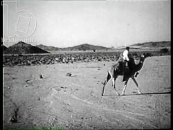 French visitors cut hair, teach children and give medical care to a Bedouin camp, Algeria 1957 Stock Footage