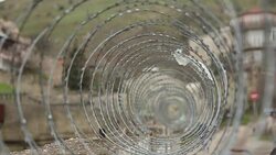 barbed wire on the fence of the protected object Stock Footage