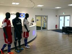 Hamburger SV v 1899 Hoffenheim - Bundesliga Stock Footage