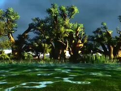 Wetland Stock Footage