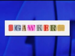 Gawker Media Inc., which runs a series of irreverent blogs on media, technology and other issues, is urging subscribers to change their passwords because someone has managed to hack into the company's user database. News Clip