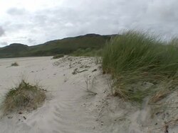 Sand Dunes Stock Footage
