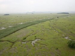 Hwaseong Dinosaur egg fossil site Stock Footage