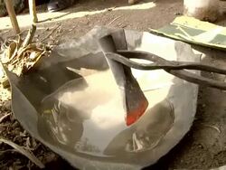 Ethiopian Blacksmith gets metal piece out of fire Stock Footage