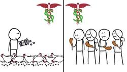 How Much Does Meat Actually Cost? Instructional Video