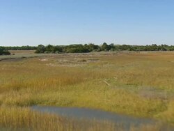 MS AERIAL Shot of light house and Fort Pulasky National Monument / Georgia, United States Stock Footage