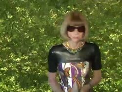 Anna Wintour at the Green Auction Stock Footage