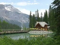 MS People walking on wooden bridge at Emerald Lake / Yoho Nationalpark, British Columbia, Canada Stock Footage