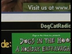 Radio station for pets left alone during the day News Clip