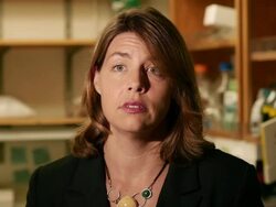 Ebola Research Stock Footage