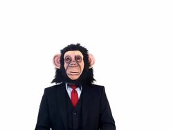 Hear No Evil Stock Footage