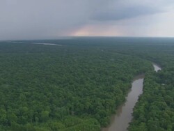 WS AERIAL View of River between forest / Texas, United States Stock Footage