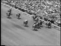 B/W 1962 high angle horses running in Kentucky Derby / #3 pulling into lead / newsreel Stock Footage