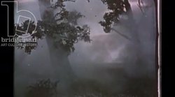 Trees fall from the shock wave of a Soviet nuclear test at the Totskoye test site, USSR, 1954 Stock Footage