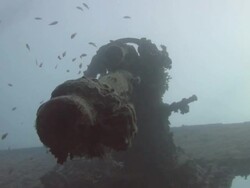 Shipwreck SS Thistlegorm Stock Footage