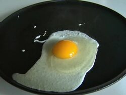 egg sunny side up Stock Footage