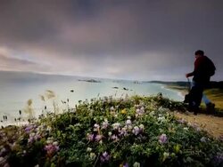 WS SLO MO POV View of young man walking his dog on trail by ocean / Cape Blanco State Park, Oregon, United States Stock Footage