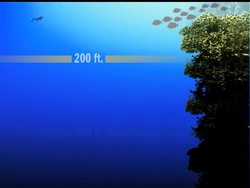 New findings spark hope that endangered species are more abundant than previously thought News Clip