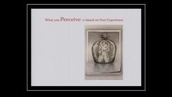 Al Seckel: Visual illusions that show how we (mis)think Instructional Video