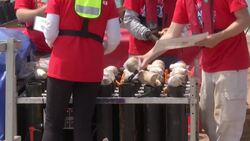 Despite Retail Woes, Macy's Fireworks Bigger News Clip