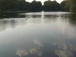 Charlottenburg pond  1080/60i Stock Footage