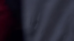 'A Street Cat Named Bob' Real Life Counterparts News Clip