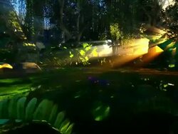 Small pond in mystical forest Stock Footage