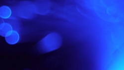 Optical fiber bundle, bright spot. Stock Footage