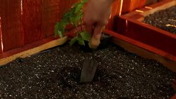 Gardening Stock Footage