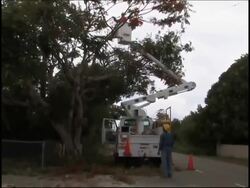 WRAP Hurricane Gustav hits Caymans, Cuba prepares; Mexico News Clip