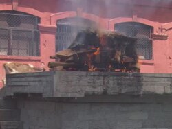 MS Body burns during cremation and  two calves passing  by AUDIO / Kathmandu, Central Region, Nepal Stock Footage