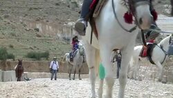 VOICED : La dura vida de los caballos en Petra News Clip