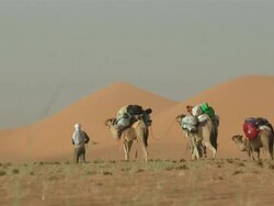 MS ZO Group of people crossing desert  / Atar, ADRAR, Mauritania Stock Footage