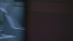 A festivalgoer lights a firework as another firework shoots sparks into the sky. Stock Footage