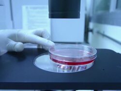 Scientist working at laboratory Stock Footage