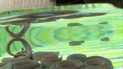 Hagfish swim underwater in a shallow pool. Stock Footage