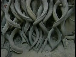 Israelis celebrate the Jewish New Year Instructional Video