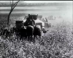 AUSTRALIA'S SORGHUM HARVEST News Clip