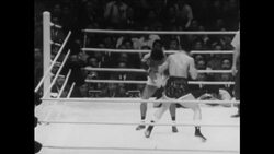 CAN532 BANTAMWEIGHT CHAMPIONSHIP FINAL News Clip