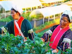 Two lahu people hill tribes Stock Footage