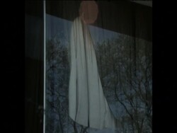 SYND 17 9 74 BOMB DAMAGE AROUND BUENOS AIRES News Clip