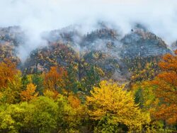 WS T/L View of Autumn in Ordesa with Ordesa National Park / Ordesa, Huesca, Spain Stock Footage