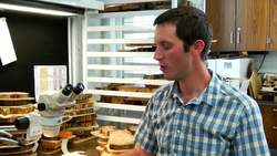 STEMExplore: Studying Tree Rings to Reconstruct Fire History and Climate Change Instructional Video